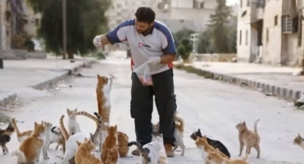 16. Mohammad et les chats.jpg