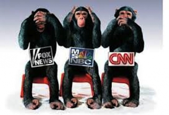 10. Media monkeys.jpeg