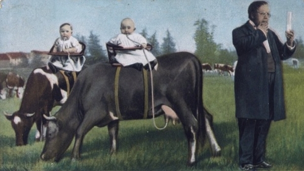 9. babies & cow.jpg
