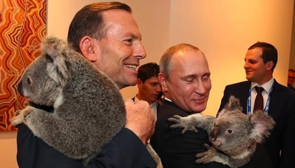 3. Poutine et Koala.jpg