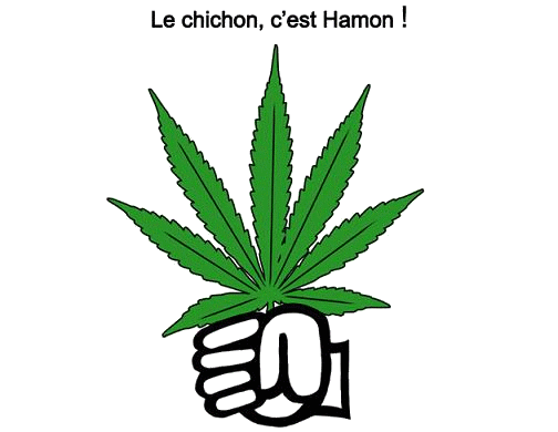 7. BLUJ HAmon Chichon.gif