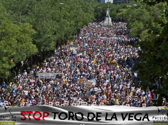 16. manifestacion-contra-el-toro-de-la-vega-2013.jpg