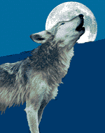 14. Loup hurlant à la lune GIF.gif