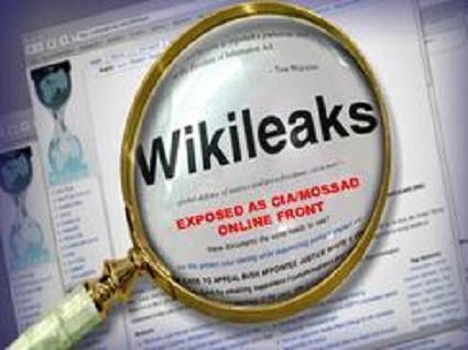 loupe wikileaks.jpg