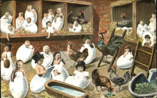 7. babies hatching from eggs.jpg