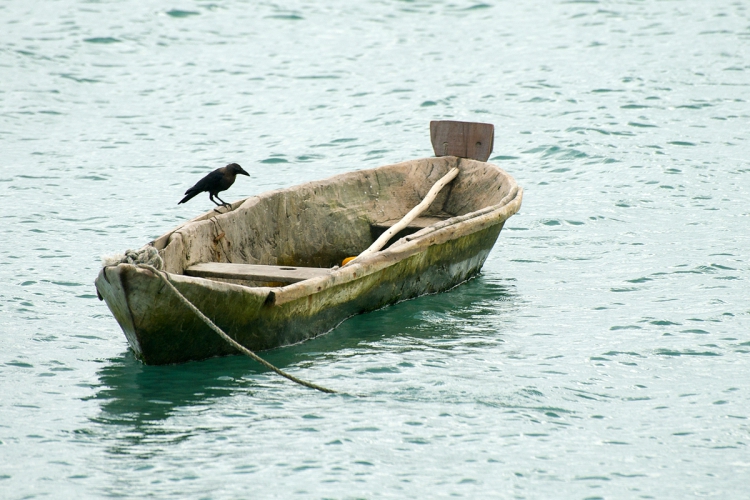 1. Crow boat.JPG