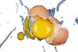 15. Slashed egg 5 xxx.gif