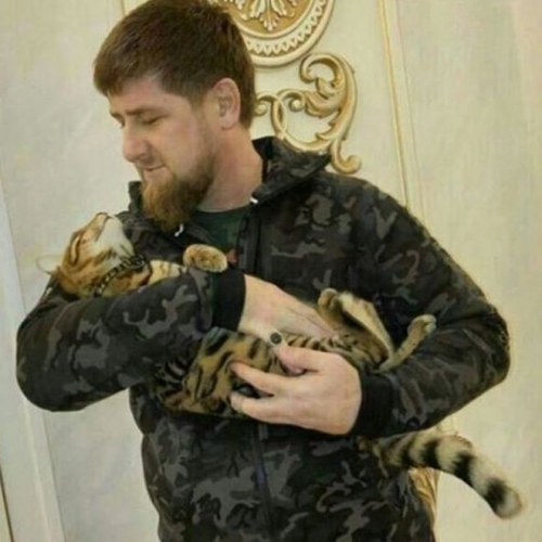 41. Kadyrov w cat x.JPG