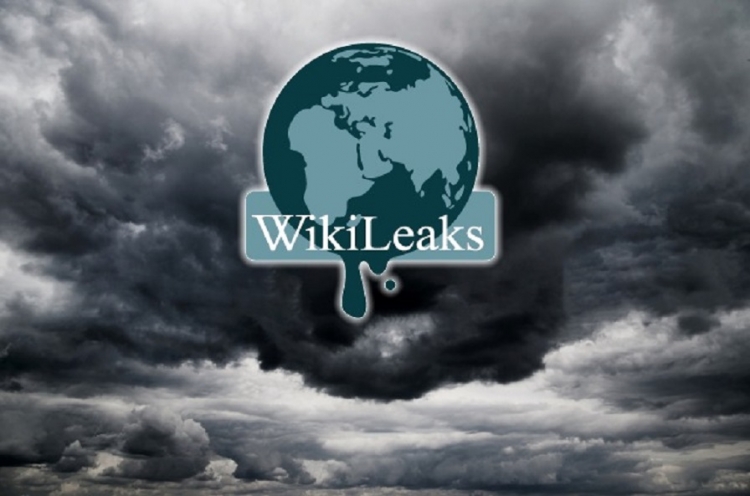 1. wikileaks-dark-matter.jpg