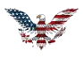 6. US eagle.gif
