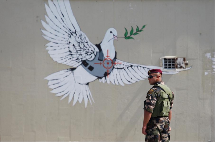 19. Gaza peace pigeon.jpg