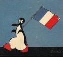 2. Alfredf le pingouin xx.JPG