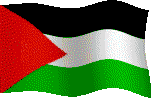 4. Palestinian Flag.gif
